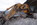 CAT 320, 323D, Excavator, Track Excavator, Crawler Excavator, Hydraulic Excavator